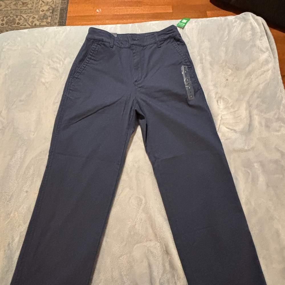 GAP Girlfriend Navy Blue Chinos